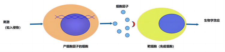圖片1(1).png