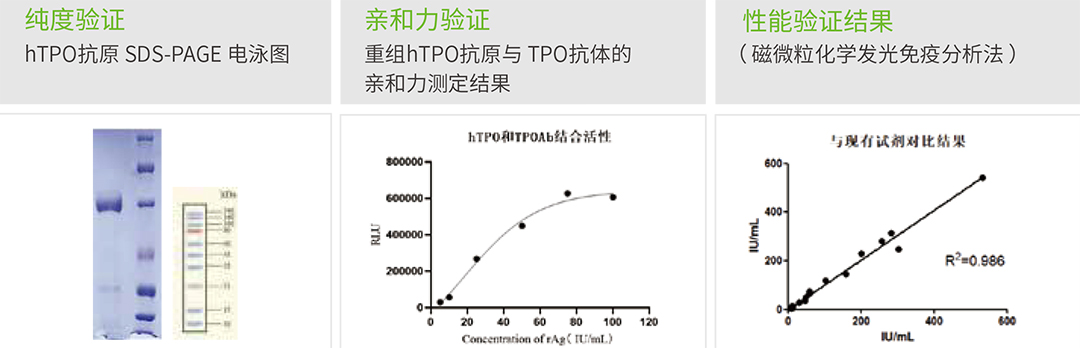 開景產(chǎn)品目錄分頁-2023(1)-12.jpg
