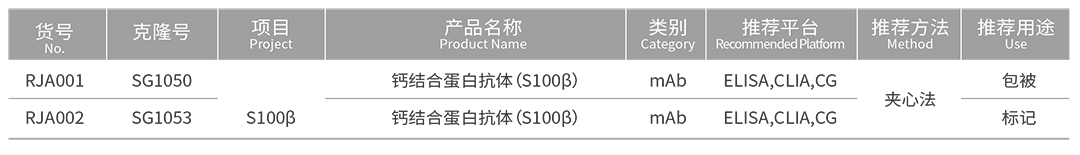 腦.jpg